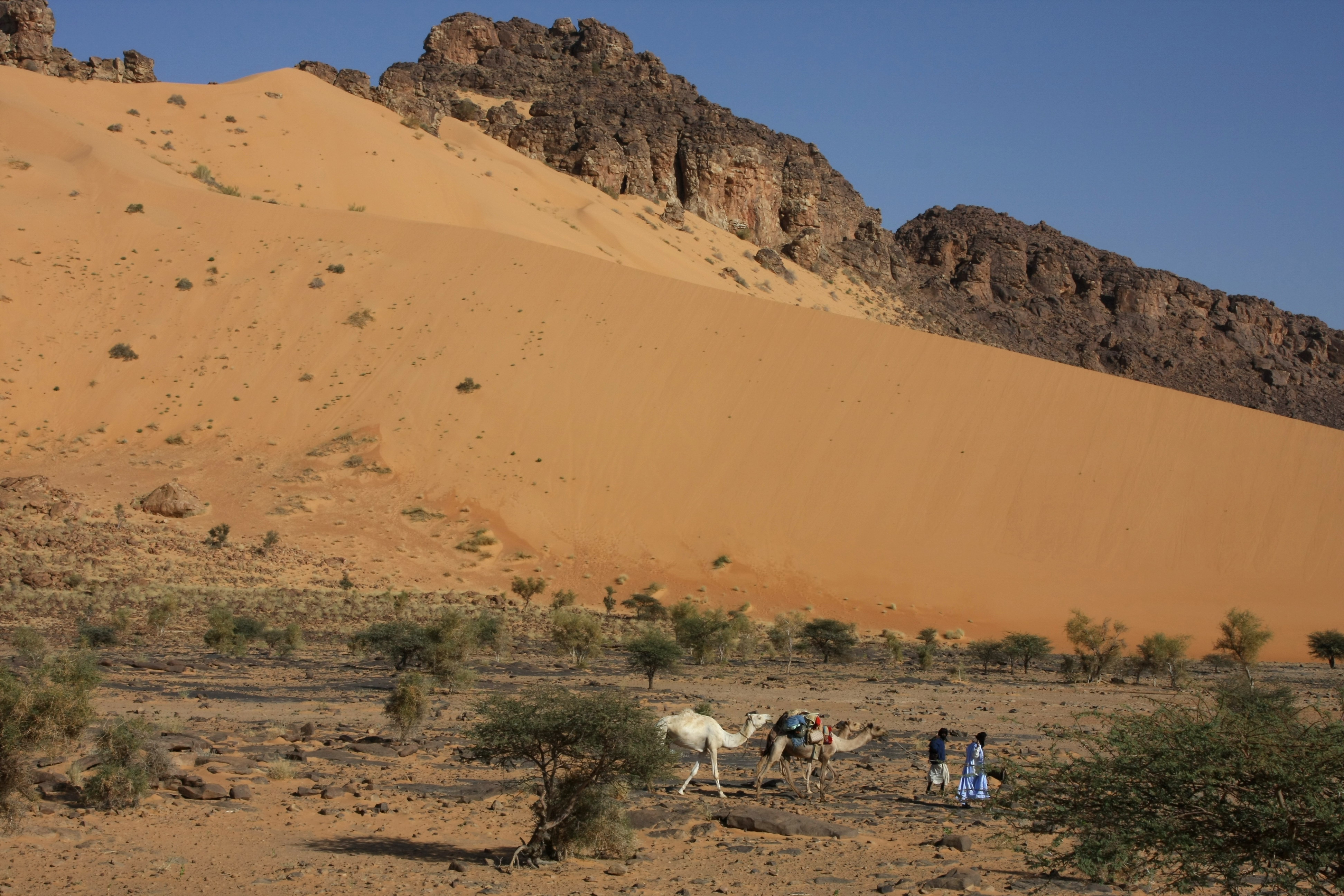 marokko_mauretanien_113