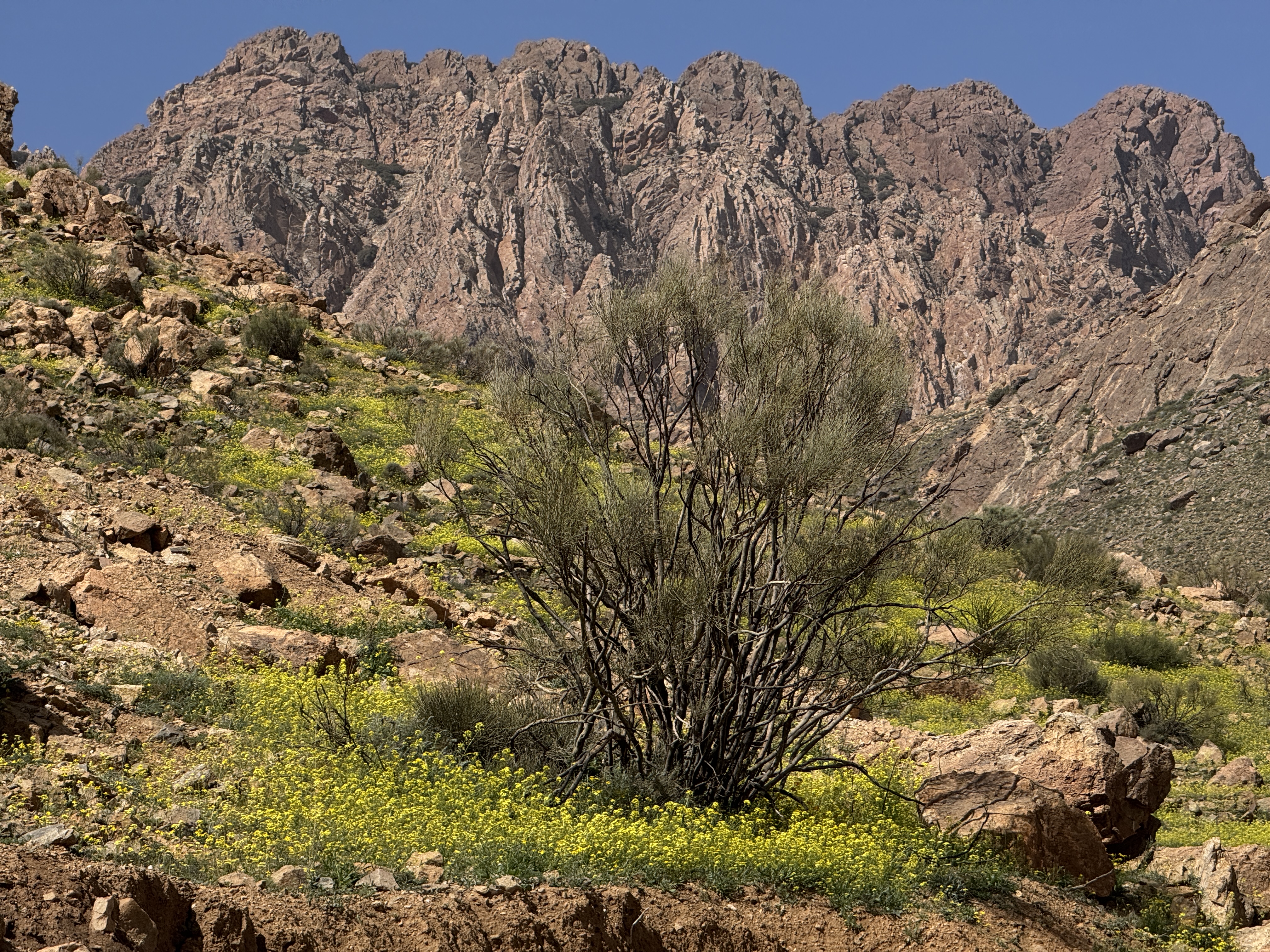 marokko_mauretanien_52