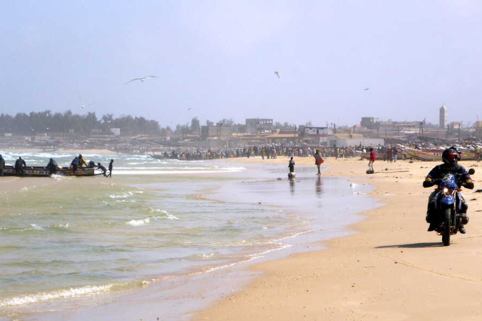 Westafrika 2020: Mauretanische Sahara-Highlights