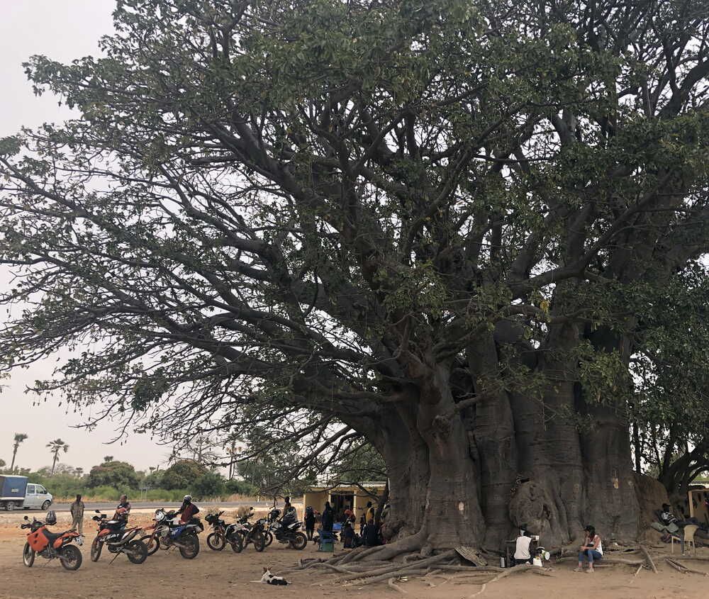 westafrika_senegal_33