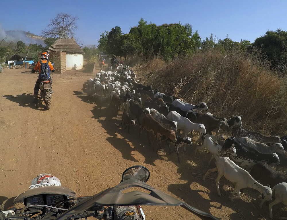 westafrika_senegal_35