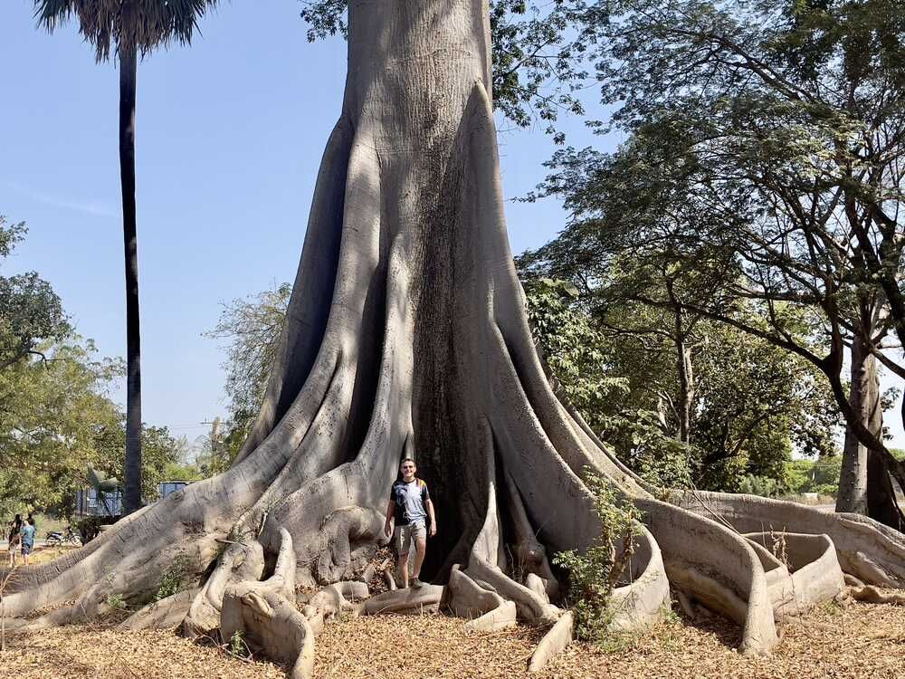 westafrika_senegal_32