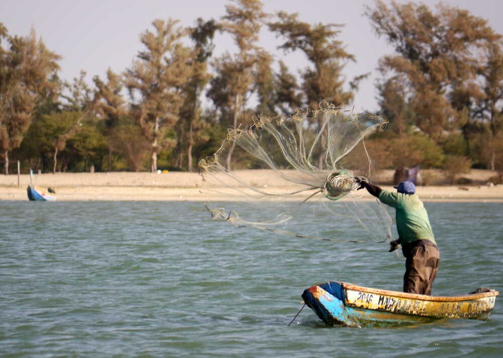 westafrika_senegal_17