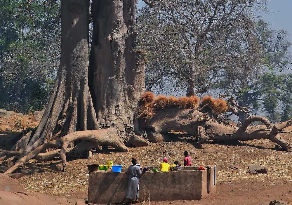 westafrika_senegal_31